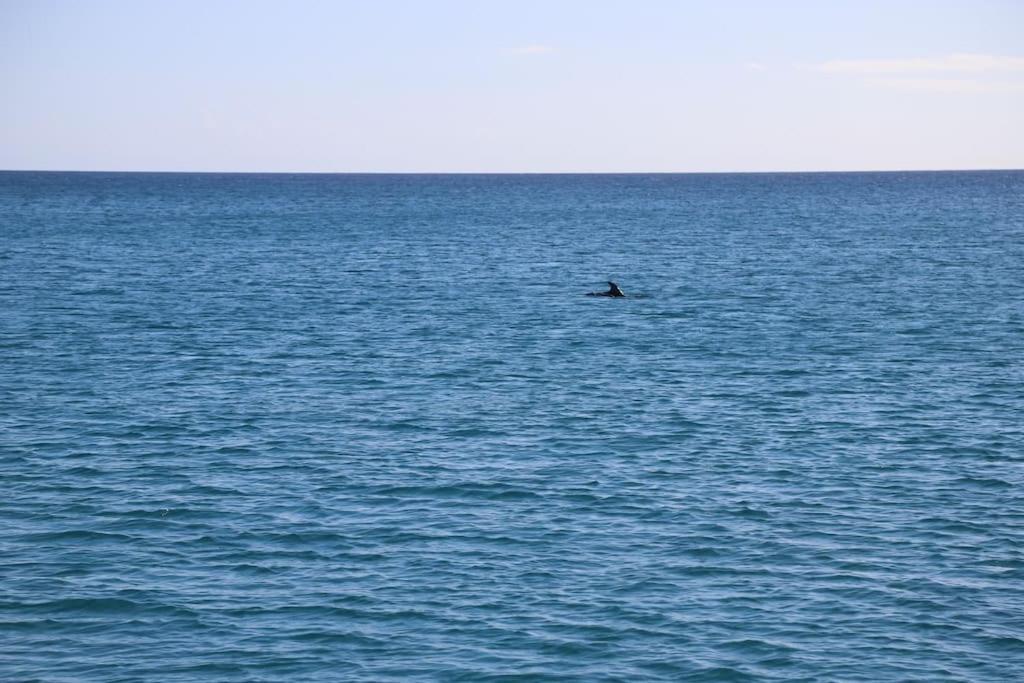 カリアリOcean Flatアパートメント エクステリア 写真